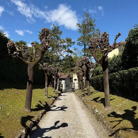 Mario - San Giusto *